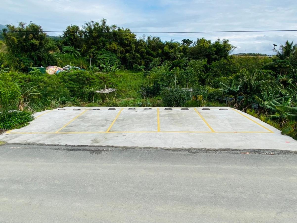 Апартаменты Taitung Crabs House Чэнгун Экстерьер фото
